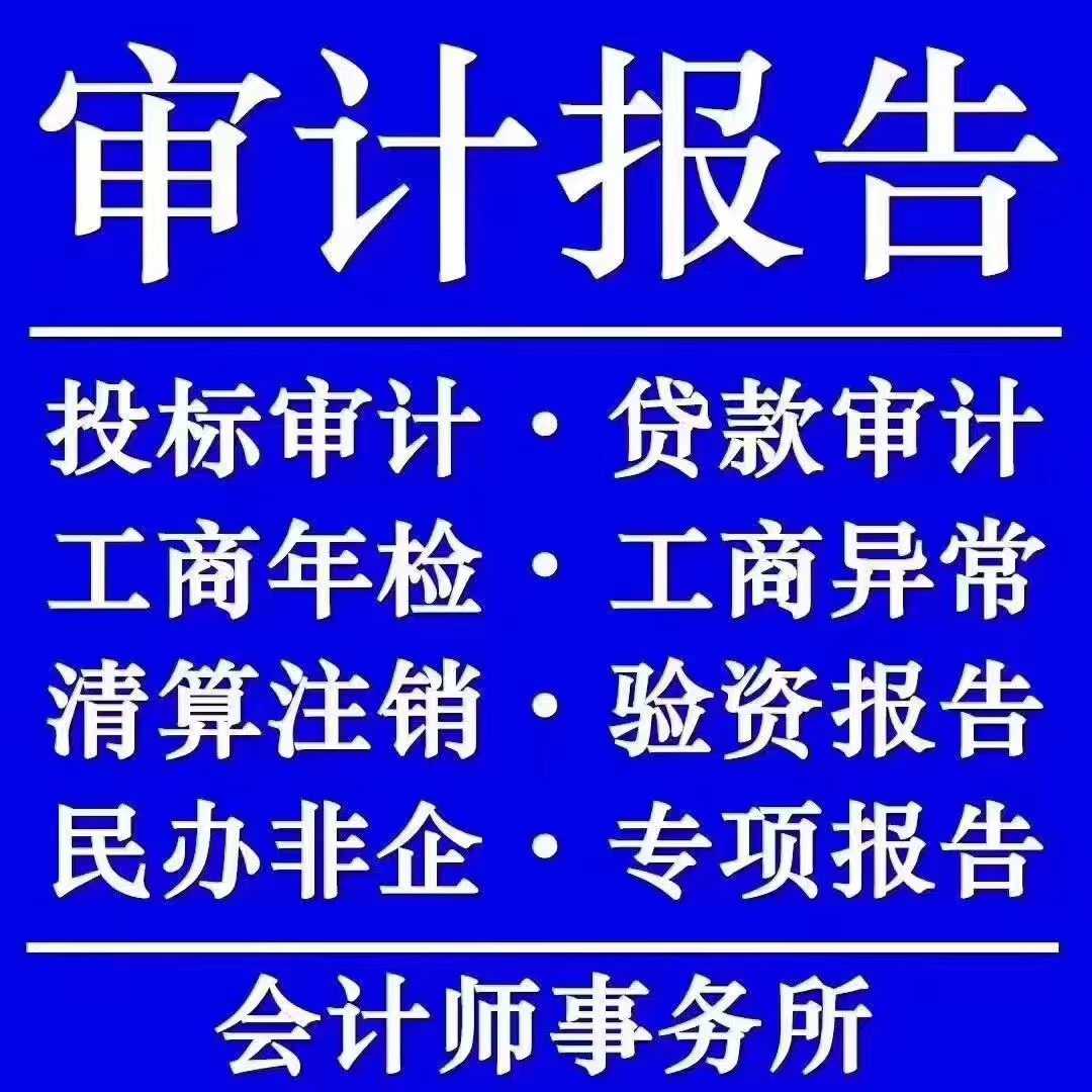 专业为企业出各种审计报告费用低周期短 