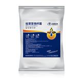 枯草芽孢桿菌和哈茨木霉菌哪個效果好？