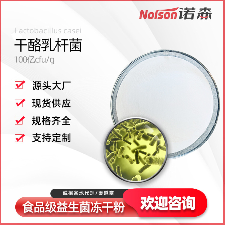 供應干酪乳桿菌100億活菌益生菌固體飲料原料可定制規格青島諾森生物