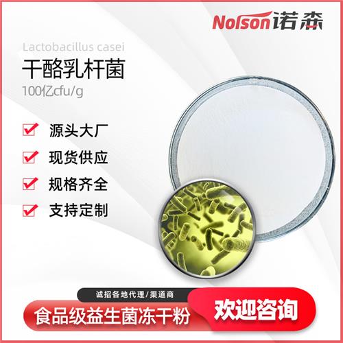 供应干酪乳杆菌100亿活菌益生菌固体饮料原料可定制规格青岛诺森生物
