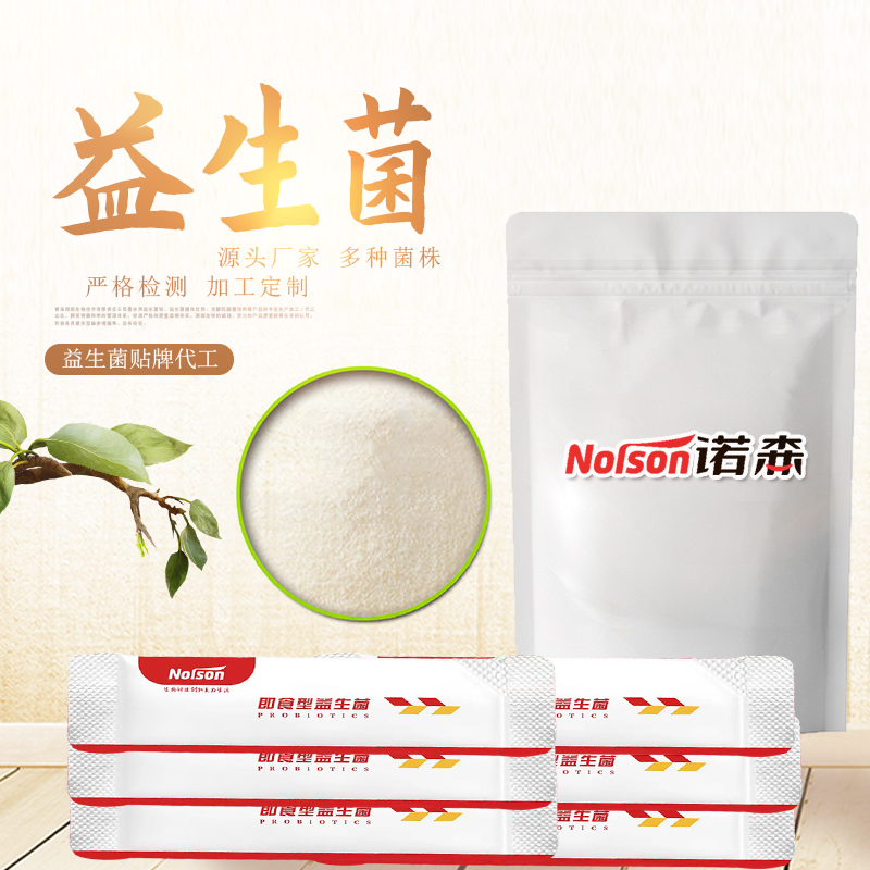 工廠供應 鼠李糖乳桿菌 100億CFU/g 凍干粉 可定制 青島諾森生物  益生菌固體飲料原料 