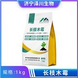 長枝木霉對(duì)病毒病有效 50億長枝木霉可噴霧使用