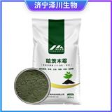 哈茨木霉菌可噴施西瓜葉面 10億哈茨木霉可滴灌使用