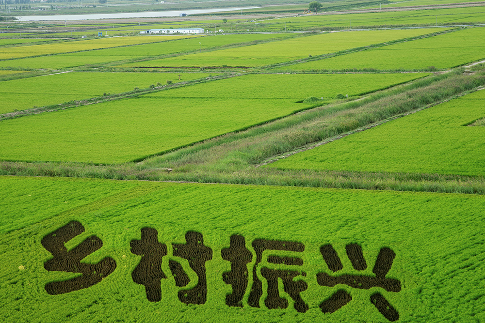 西安鄉(xiāng)村振興項(xiàng)目施工，渭南農(nóng)業(yè)產(chǎn)業(yè)園設(shè)計(jì)施工