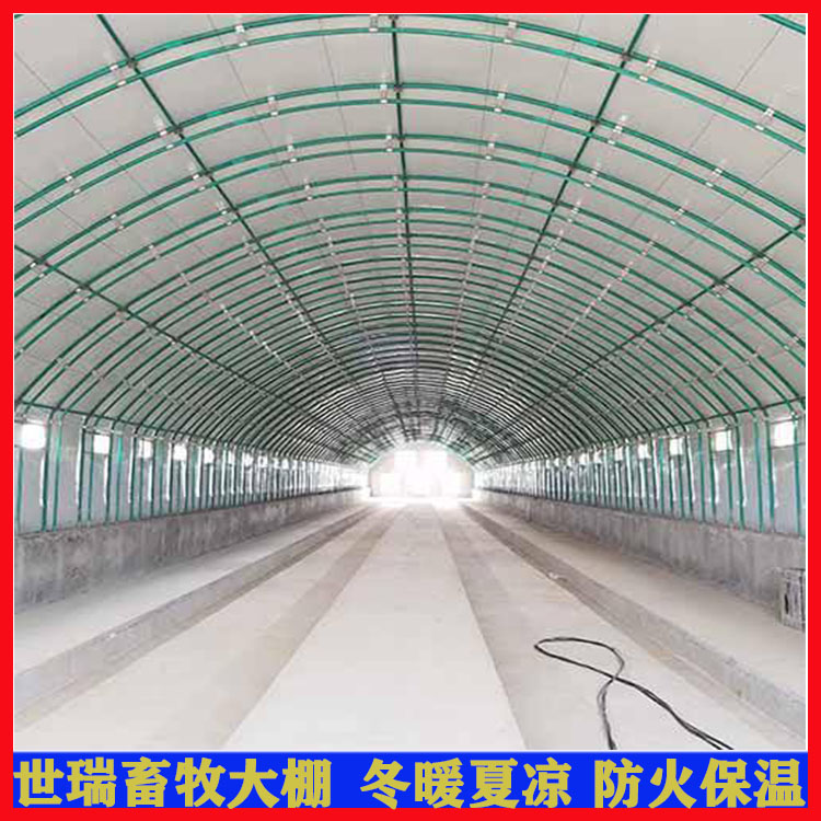新式養牛大棚建設 熱鍍鋅鋼管牛棚施工 肉牛養殖大棚安裝