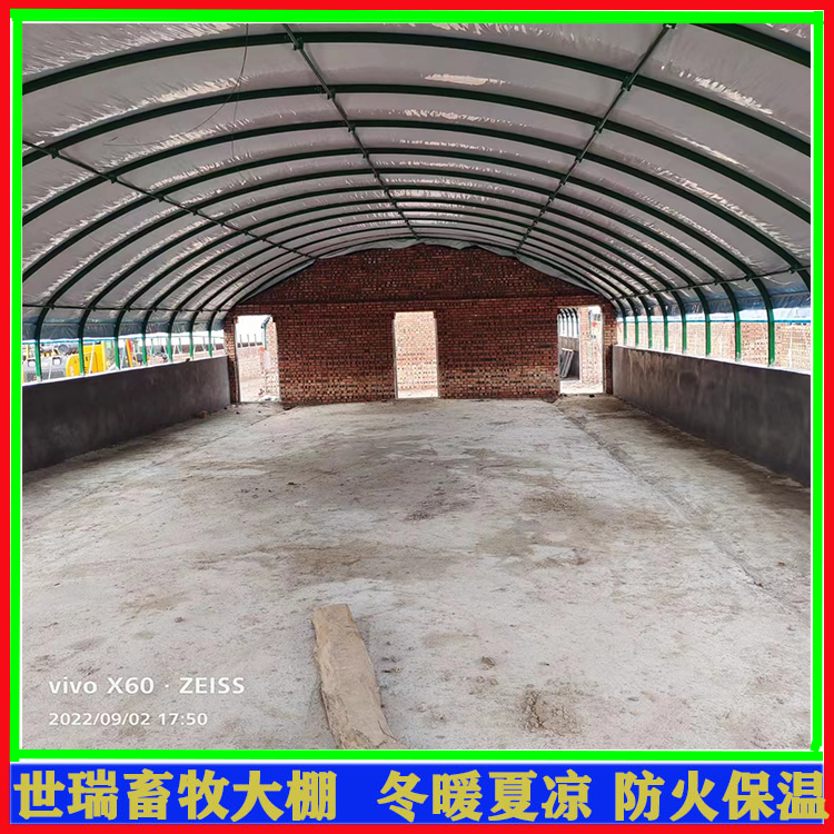 養(yǎng)羊大棚施工建設 保溫羊棚搭建 肉羊養(yǎng)殖大棚安裝