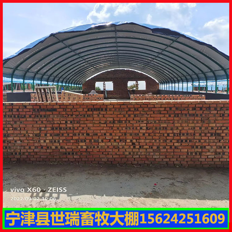 现代化养鸭大棚搭建 养鸭棚建设尺寸 鸭舍大棚建造厂家