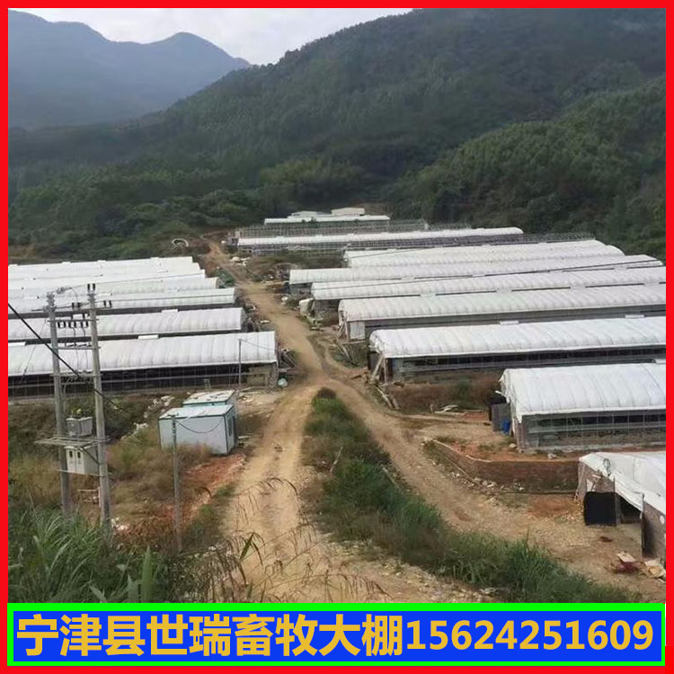 养羊温室大棚 新型养羊大棚搭建 大棚式羊舍建设材料