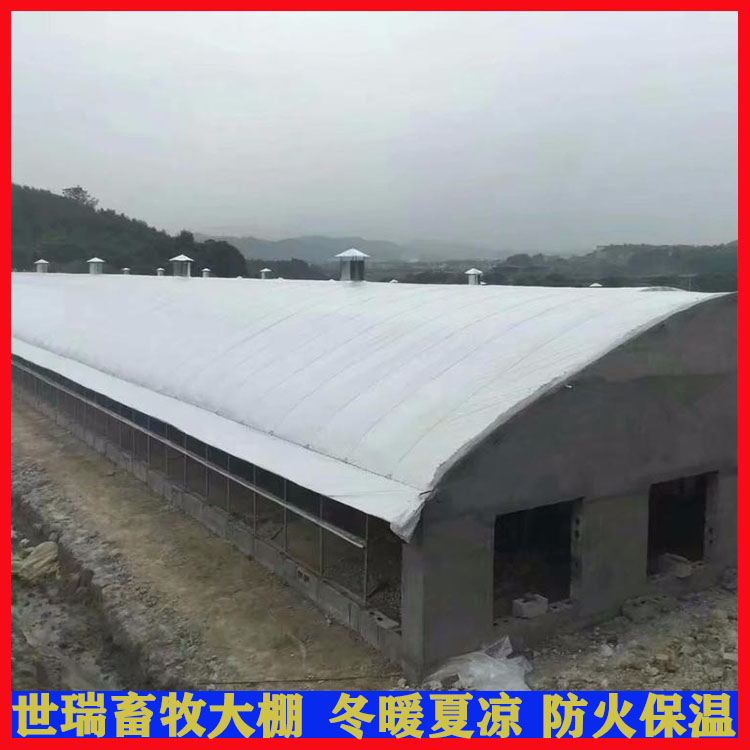 養雞大棚建設規劃 雞舍大棚材料生產 大棚式雞舍施工安裝原始圖片3