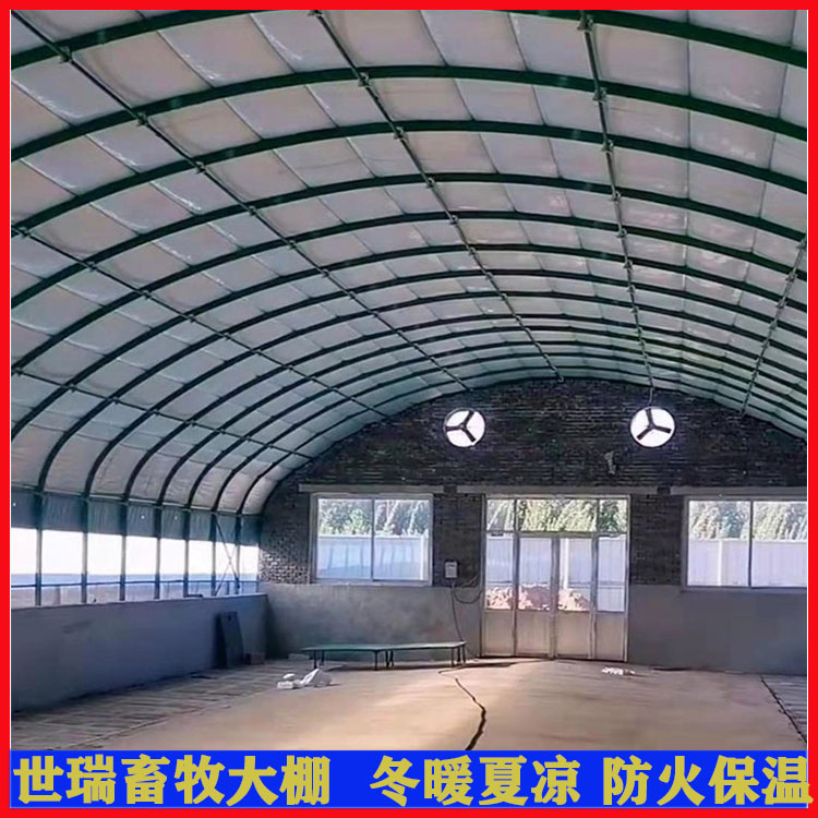 大棚式牛舍生产 黄牛养殖大棚建设 肉牛养殖大棚建造