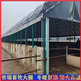 養(yǎng)牛場(chǎng)牛舍大棚建設(shè) 肉牛養(yǎng)殖大棚施工 牛棚設(shè)計(jì)安裝
