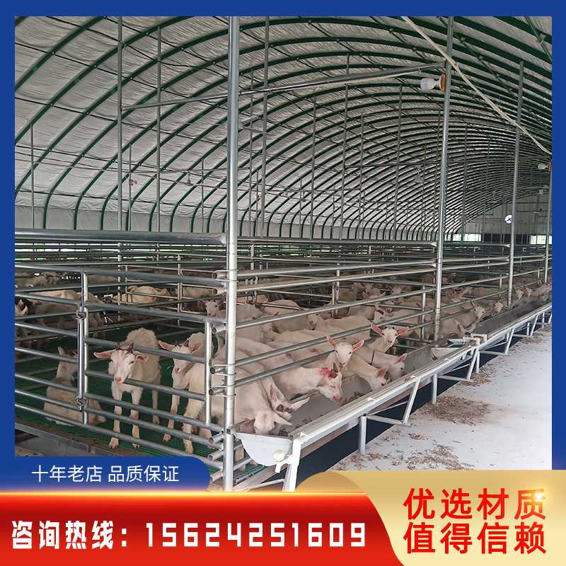 新型羊舍大棚搭建 肉羊养殖大棚建造 养羊大棚施工安装