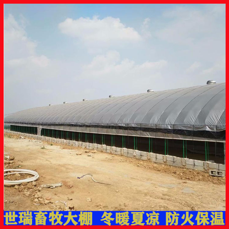 新型羊舍大棚搭建 肉羊养殖大棚建造 养羊大棚施工安装