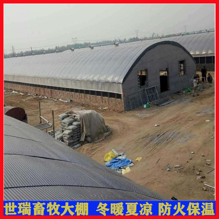 新型羊舍大棚搭建 肉羊养殖大棚建造 养羊大棚施工安装