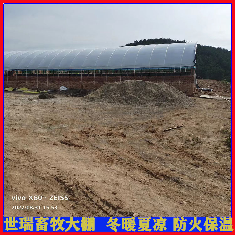 建设养兔大棚 新式兔舍大棚搭建 兔棚施工规划厂家