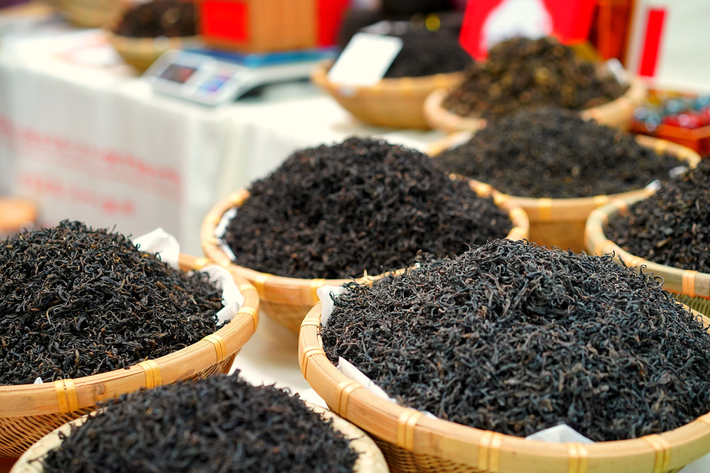 走進中山茶博會|“公周芙蓉二三葉”六堡茶多彩魅力引客來！