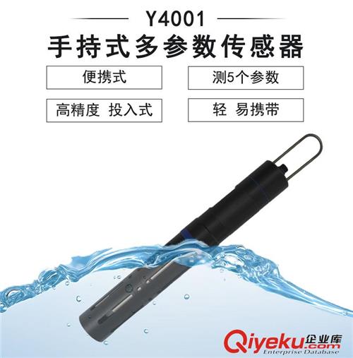 Y4001手持式多参数传感器-禹山传感