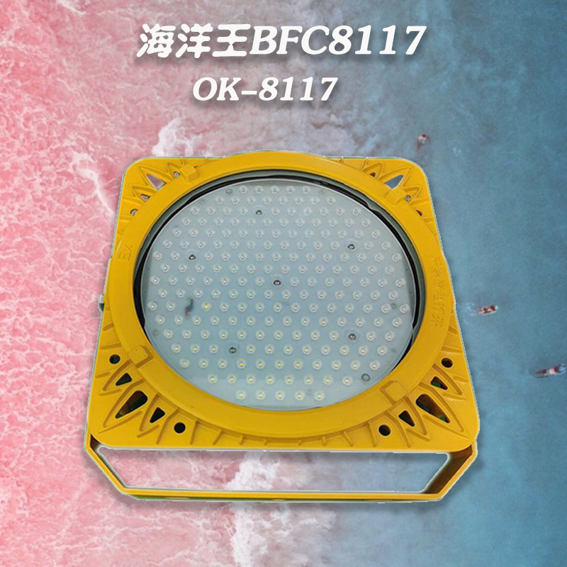 BFC8117 LED 防爆泛光灯-200W泛光照明