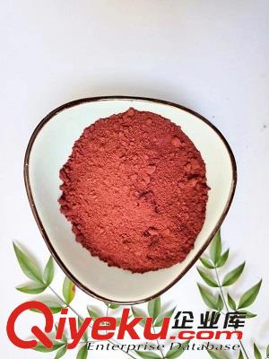 伽馬相納米三氧化二鐵磁粉200納米氧化鐵紅Fe2O3著色劑用