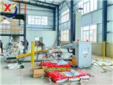 信捷立柱機(jī)器人碼垛機(jī)工業(yè)鹽碼垛現(xiàn)場(chǎng)