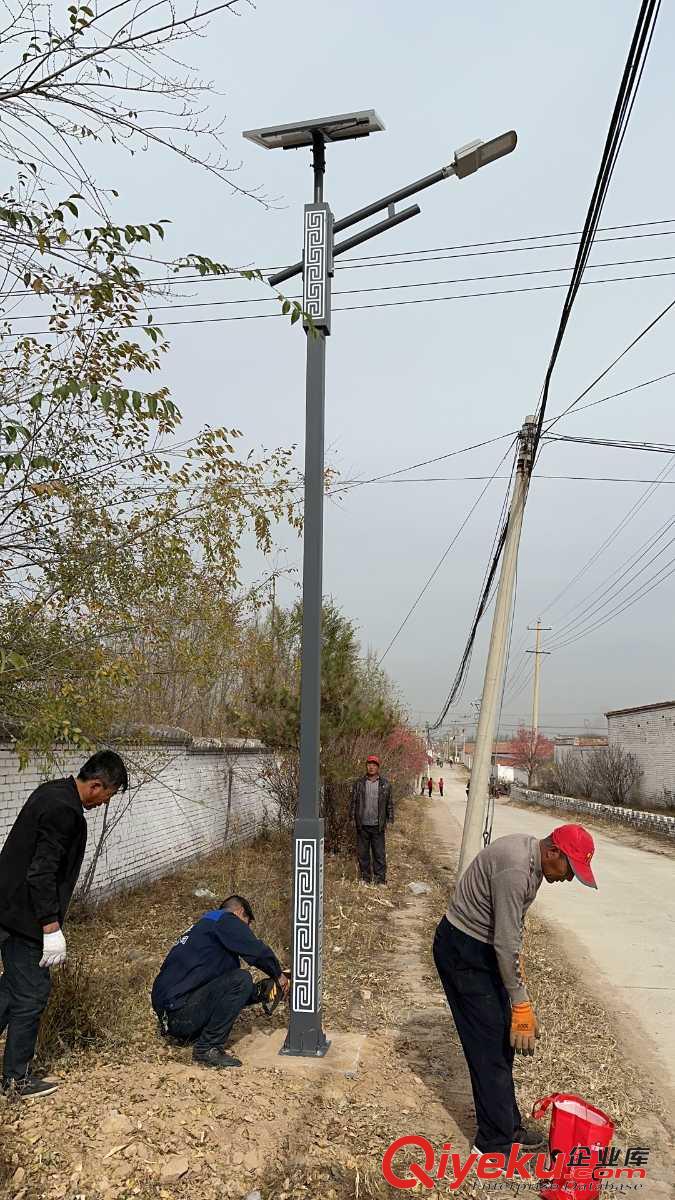 太陽(yáng)能路燈/市電路燈及景觀燈