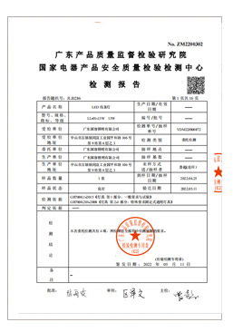 检查报告