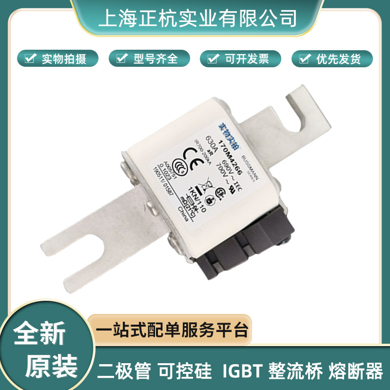 全新原裝 170M4266 快速低壓熔斷器 快恢復(fù)熔斷器