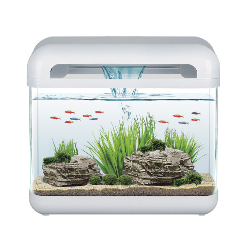 BELLY GLASS AQUARIUM