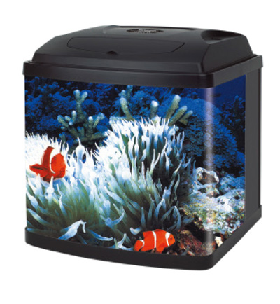 BOW FRONT GLASS AQUARIUM