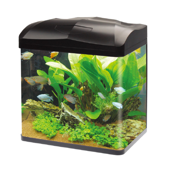 CURVED CORNER GLASS AQUARIUM