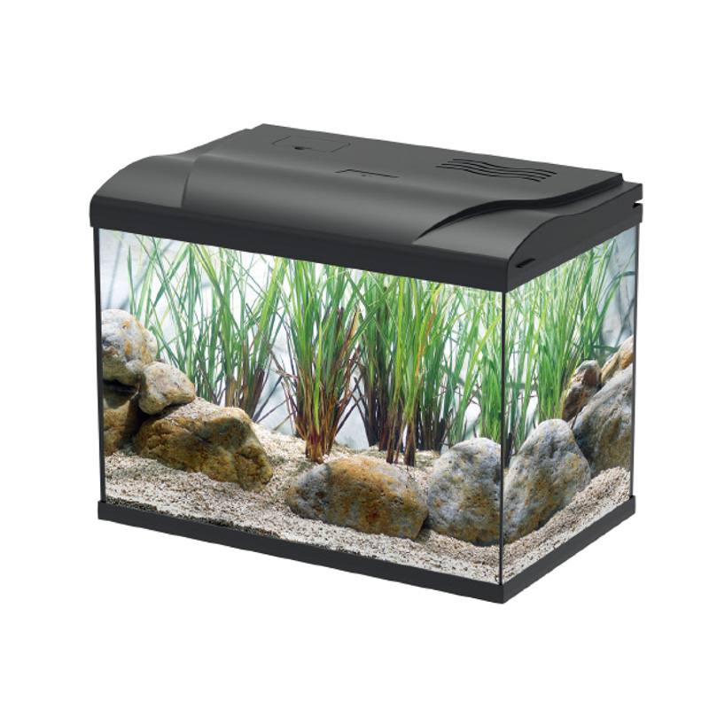 RECTANGULAR GLASS AQUARIUM