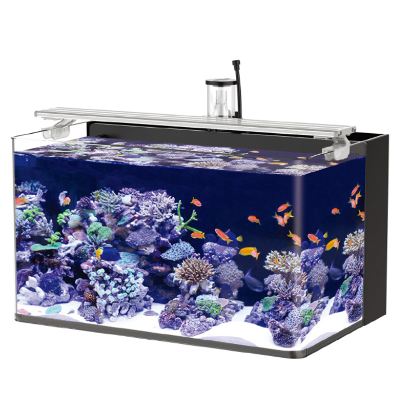 RECTANGULAR GLASS AQUARIUM