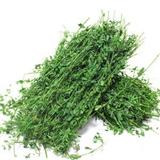 河北進口飼料美國苜蓿草奶業(yè)養(yǎng)殖畜牧業(yè)農(nóng)產(chǎn)品報關(guān)清關(guān)