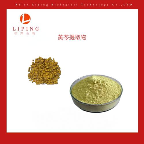 现货供应黄芩提取物黄芩苷85%