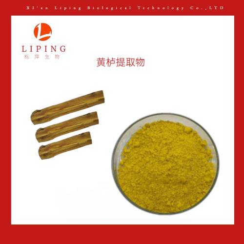 黃柏提取物黃連素97%98% 植物提取物