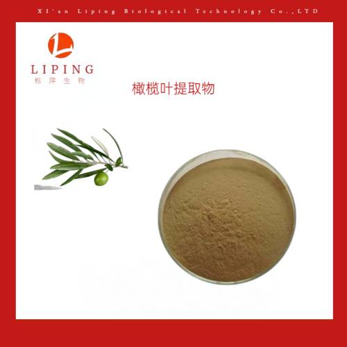 橄榄叶提取物橄榄苦甙 10-40%羟基酪醇10-40%