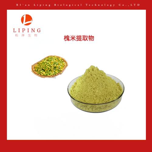 供应槐米提取物二水/无水槲皮素95%