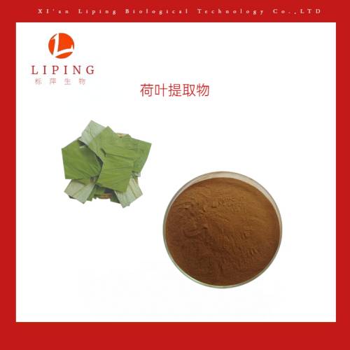 苦參堿98%95%90%苦參提取物