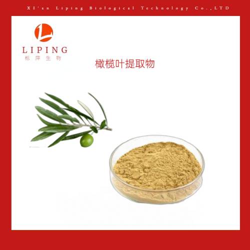 橄榄多酚10%20%45%提取物