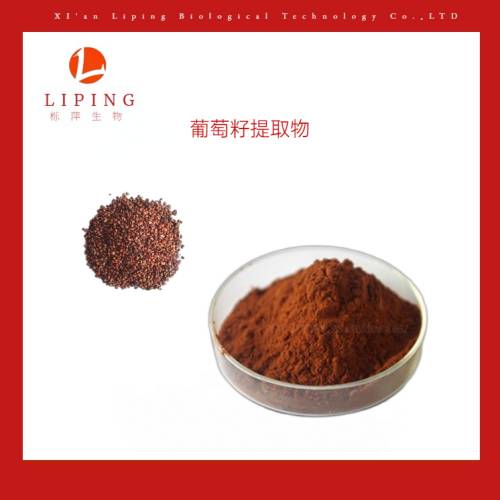 珠絲毛藍(lán)耳草(CYANOTIS ARACHNOIDEA)根提取物