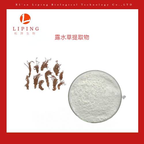 葛根提取物葛根素98%葛根黃酮供應