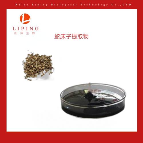 苦參堿98%HPLC植物提取物櫟萍生物現貨供應
