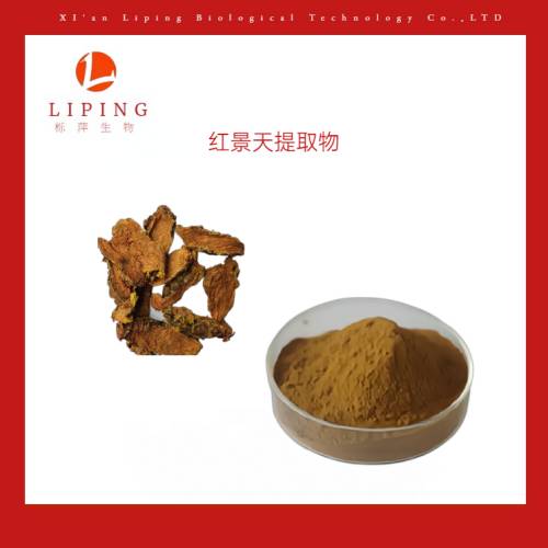 苦參堿HPLC98%植物提取現貨供應