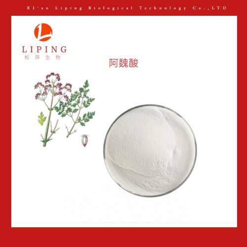 槲皮素槐花提取物無水槲皮素 