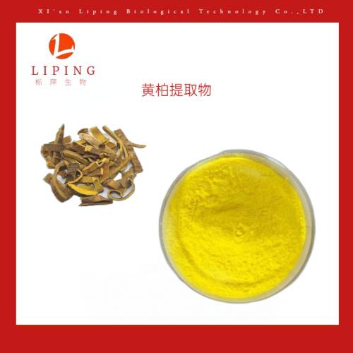 苦參提取物植物根莖提取HPLC檢測