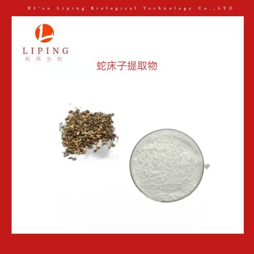 櫟萍生物貫葉連翹提取物金絲桃素0.3%