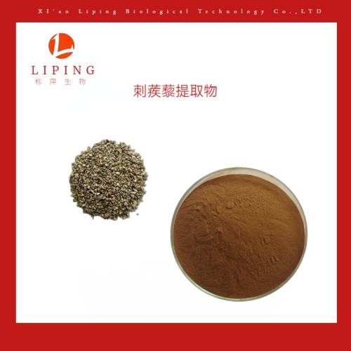 櫟萍生物穿心蓮提取物穿心蓮內酯