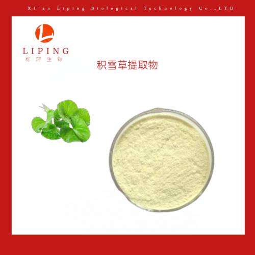 積雪草(CENTELLAASIATICA)葉提取物羥基積雪草苷90%