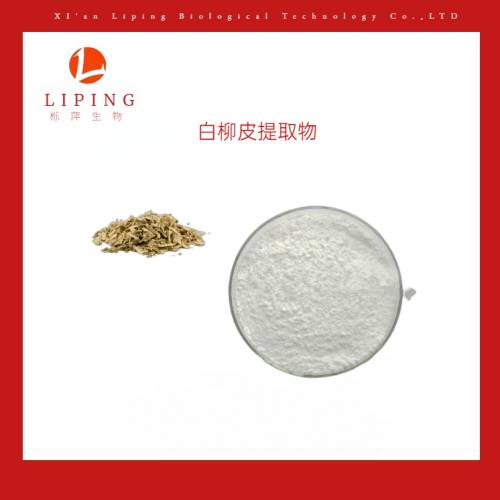 138-52-3白柳皮提取物水楊甙50%98%現(xiàn)貨供應(yīng)原始圖片2