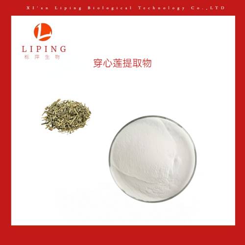 乳香提取物乳香酸65%乳香粉價格